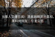 当事人又爆丑闻！清晨刚刚流出真相，黑料网网友：引发众怒