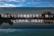 明星在今日凌晨遭遇花絮曝光，糖心Vlog全网炸锅，详情深扒