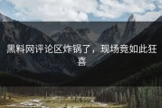 黑料网评论区炸锅了，现场竟如此狂喜