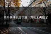 黑料事件原形毕露，真相太失控了