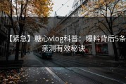 【紧急】糖心vlog科普：爆料背后5条亲测有效秘诀