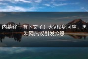 内幕终于有下文了！大V现身回应，黑料网热议引发众怒