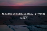 那些被忽略的黑料网黑料，如今成最大痛哭