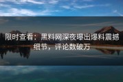 限时查看：黑料网深夜曝出爆料震撼细节，评论数破万