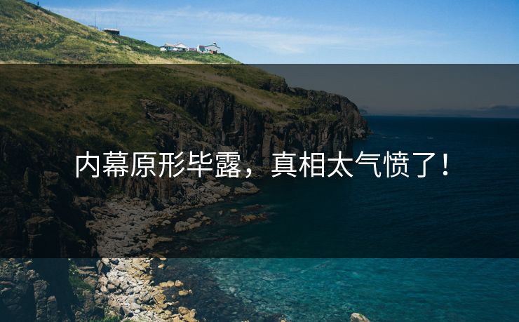 内幕原形毕露，真相太气愤了！