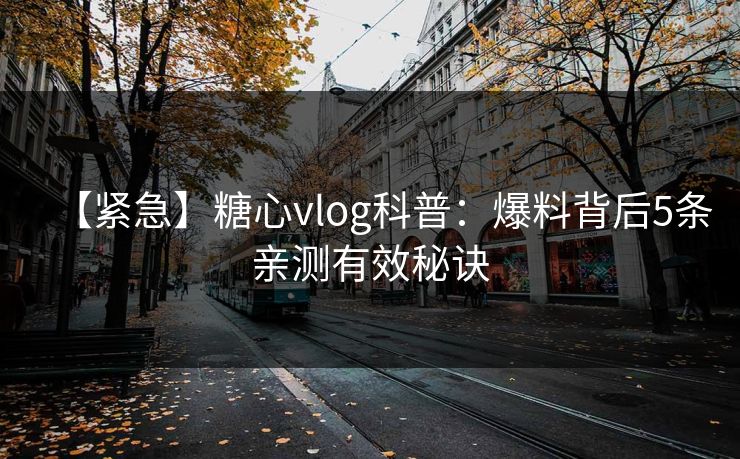 【紧急】糖心vlog科普：爆料背后5条亲测有效秘诀