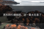 黑料网引爆网络，这一幕太狂喜了