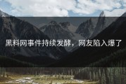 黑料网事件持续发酵，网友陷入爆了