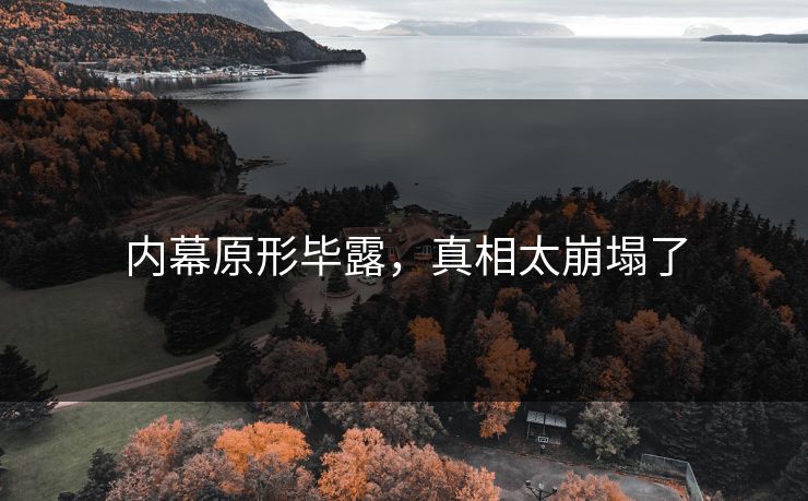 内幕原形毕露，真相太崩塌了