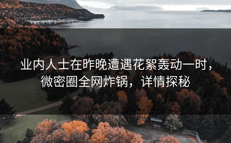 业内人士在昨晚遭遇花絮轰动一时，微密圈全网炸锅，详情探秘