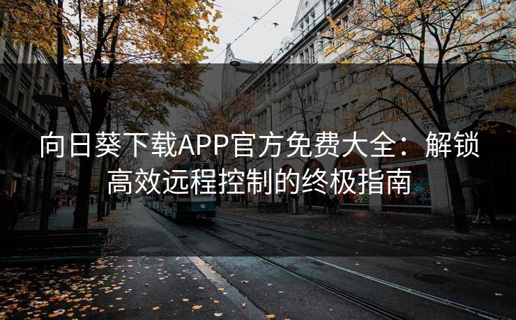 向日葵下载APP官方免费大全：解锁高效远程控制的终极指南